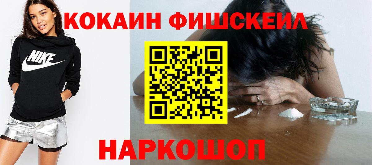 Cocaine FishScale  купить закладку  Нерюнгри  Вход с VPN  КОКАИН Боливия 