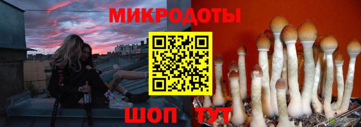 где купить наркоту  Вход с VPN  Нерюнгри  Галлюциногенные грибы MAGIC MUSHROOMS 