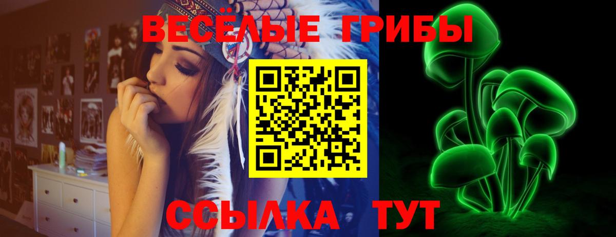 Псилоцибиновые грибы Psilocybe Нерюнгри